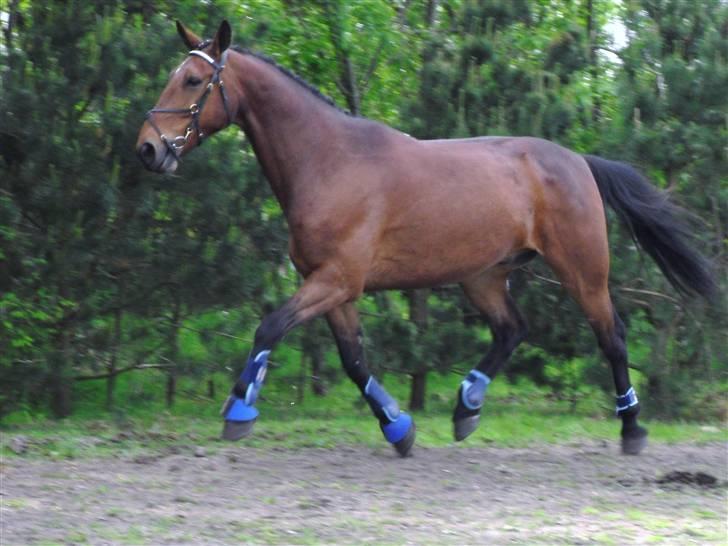 Nickey dullet op (:  billede 52