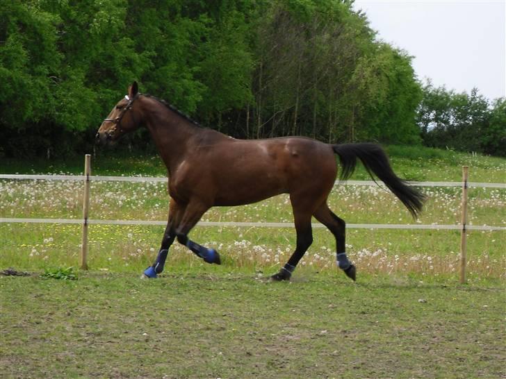 Nickey dullet op (:  billede 53