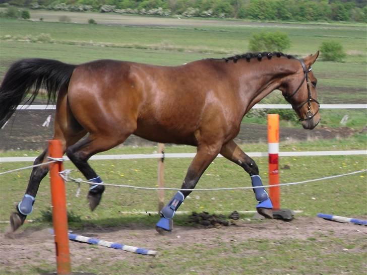 Nickey dullet op (:  billede 54