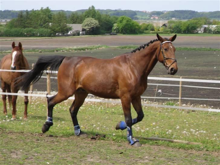 Nickey dullet op (:  billede 55