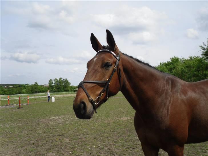 Nickey dullet op (:  billede 58