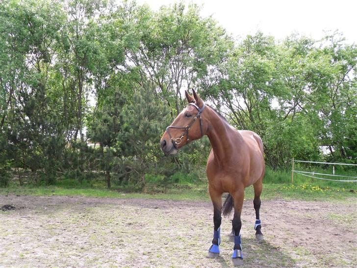 Nickey dullet op (:  billede 60