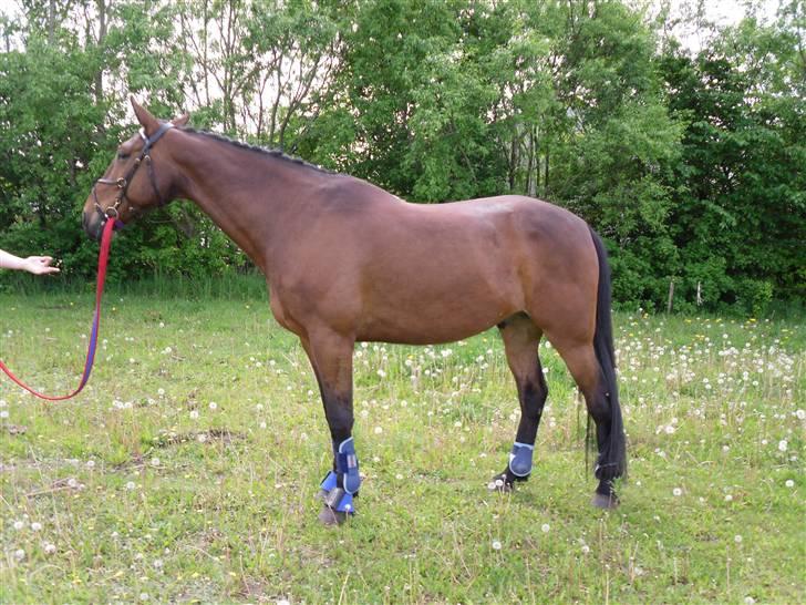 Nickey dullet op (:  billede 62