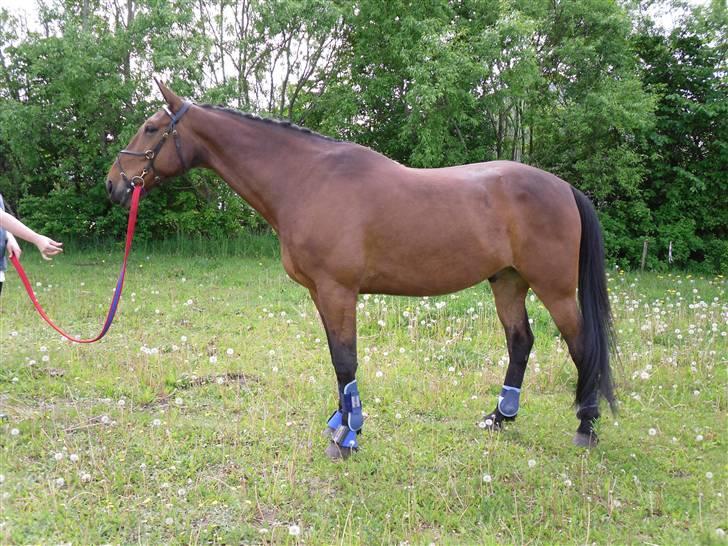 Nickey dullet op (:  billede 63