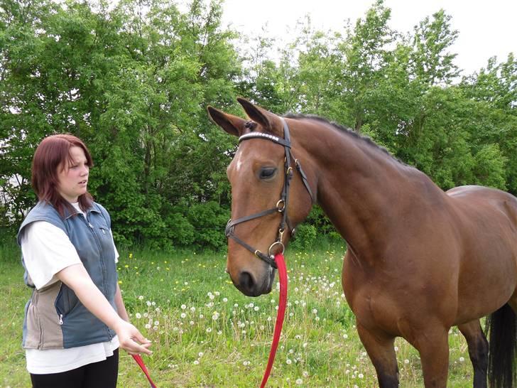 Nickey dullet op (:  billede 69