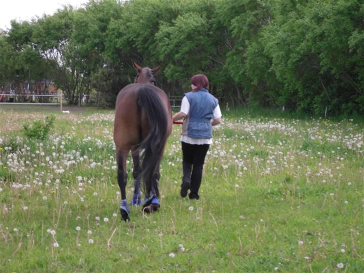 Nickey dullet op (:  billede 70