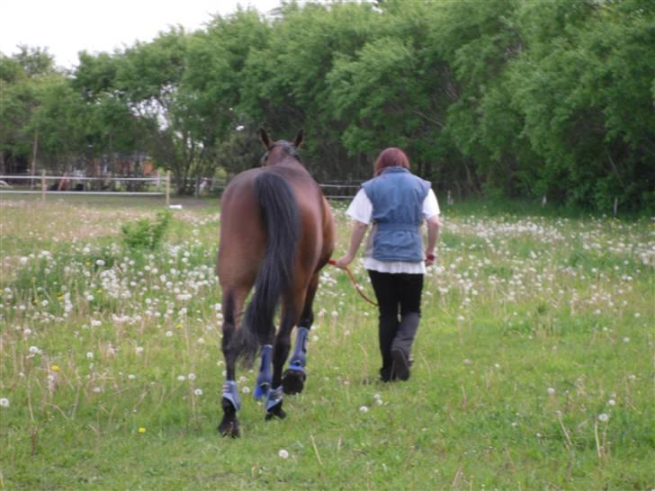 Nickey dullet op (:  billede 71