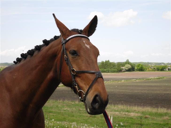 Nickey dullet op (:  billede 72