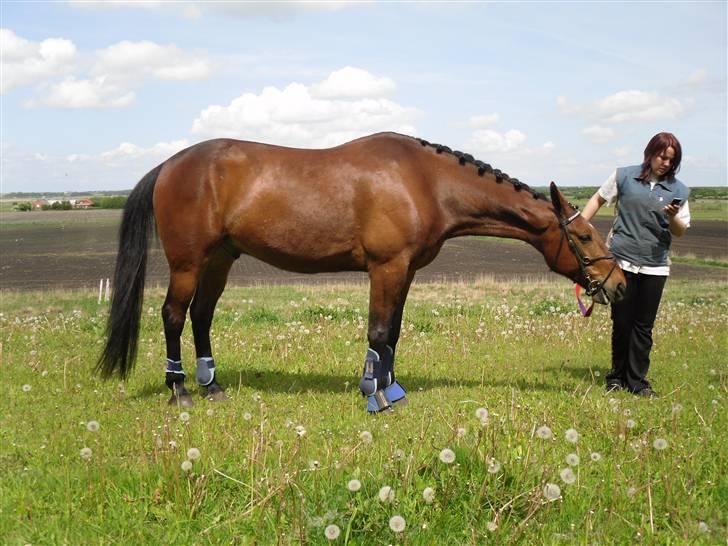 Nickey dullet op (:  billede 73