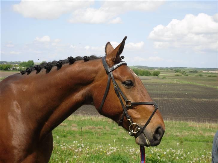 Nickey dullet op (:  billede 74