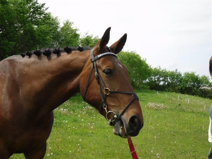 Nickey dullet op (:  billede 75