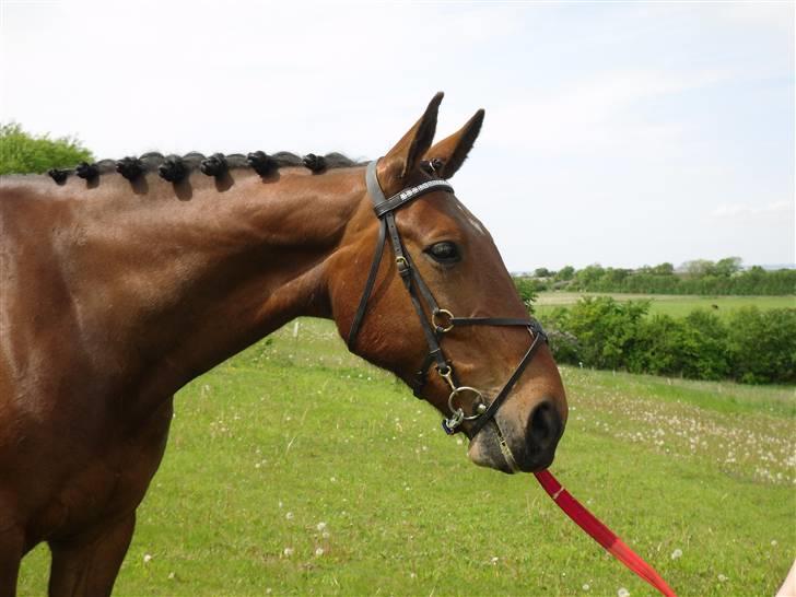 Nickey dullet op (:  billede 76