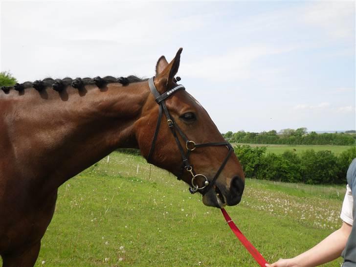 Nickey dullet op (:  billede 77