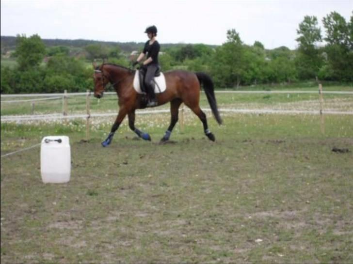 Nickey dullet op (:  billede 79