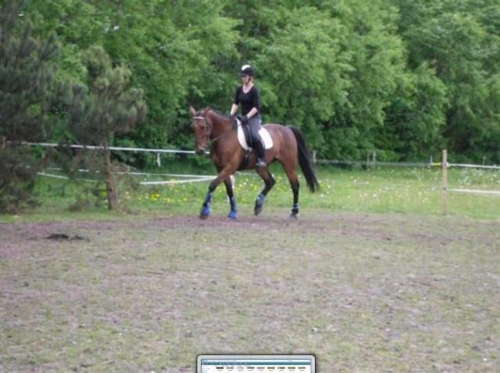 Nickey dullet op (:  billede 80