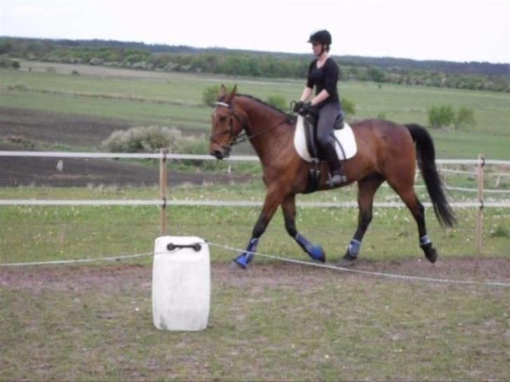 Nickey dullet op (:  billede 81