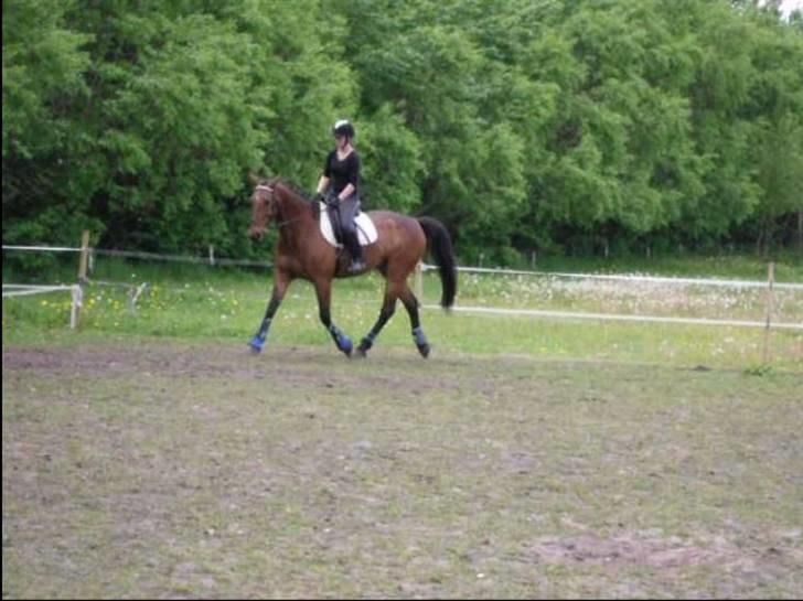 Nickey dullet op (:  billede 82