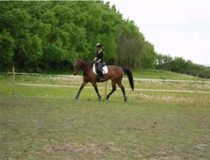 Nickey dullet op (:  billede 83