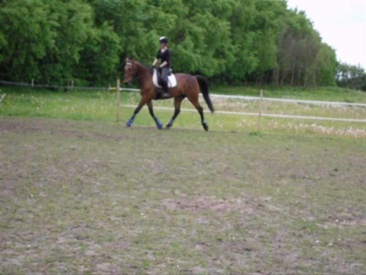 Nickey dullet op (:  billede 84