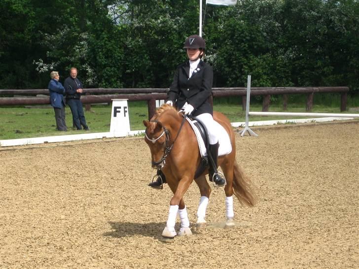 Nørre hostrup rideklub 23/5-09 billede 1