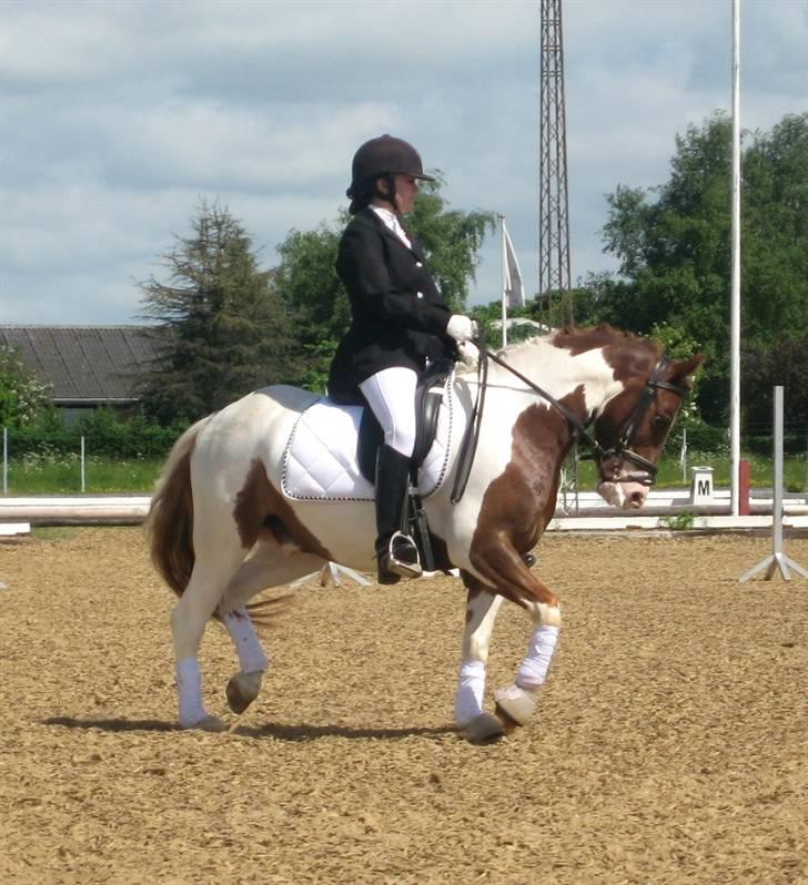 Nørre hostrup rideklub 23/5-09 billede 3