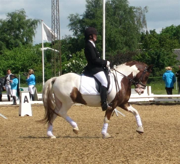 Nørre hostrup rideklub 23/5-09 billede 4