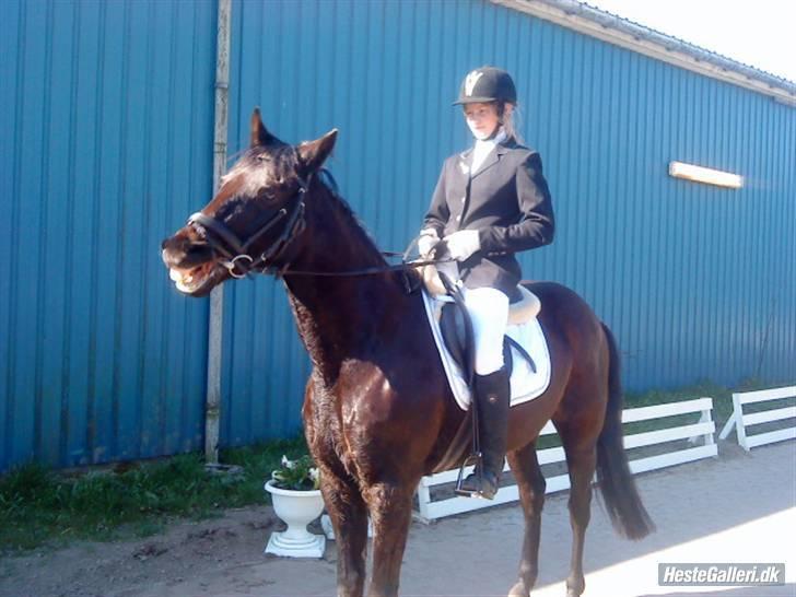 Sjove billeder :) <3 - SMiiiLLL :) <33 billede 5