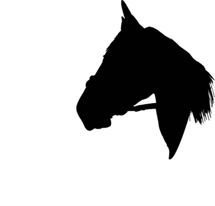 Tegninger og billeder jeg har leget lidt med... - Her er tegningen lavet til silhouet - også lavet af min svigerinde. billede 32