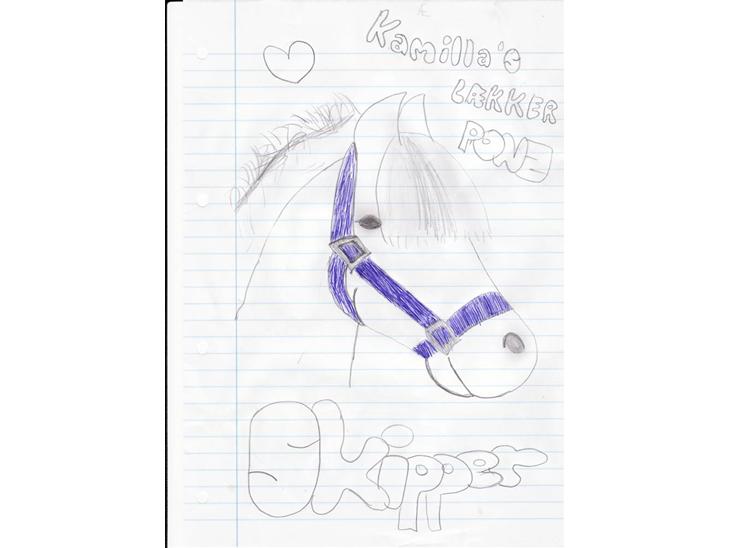 {{currentPhoto.altText}} billede {{currentPhoto.number}}