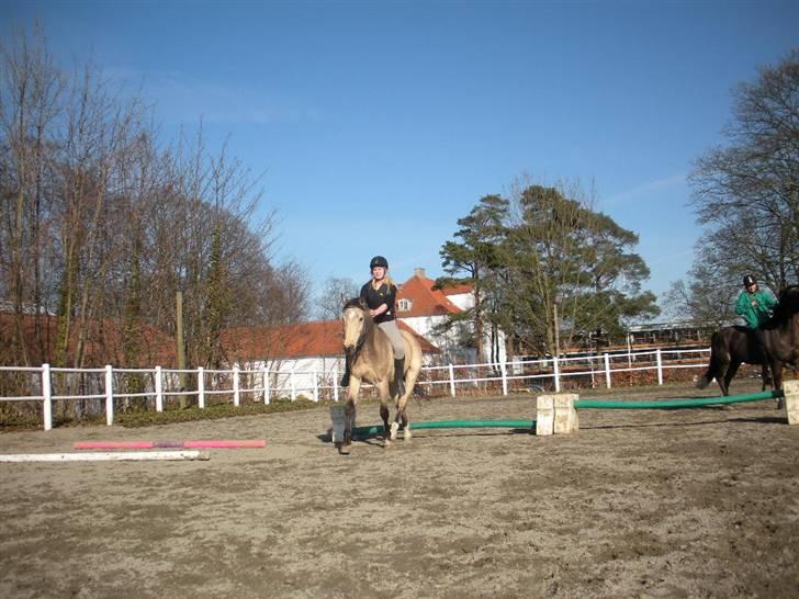 Ën af de sidste dage på ir  billede 2