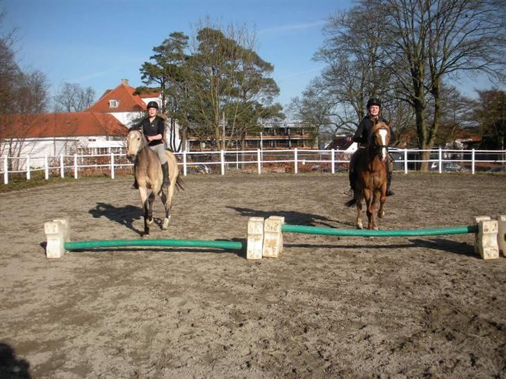 Ën af de sidste dage på ir  billede 4