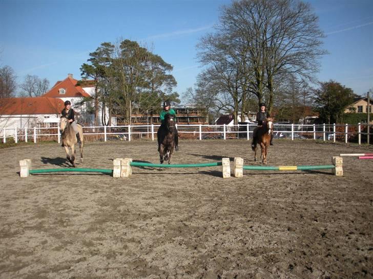 Ën af de sidste dage på ir  billede 8