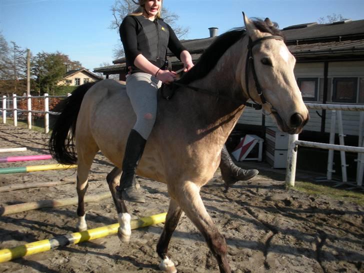 Ën af de sidste dage på ir  billede 9