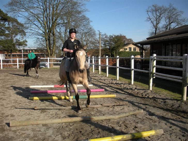 Ën af de sidste dage på ir  billede 10