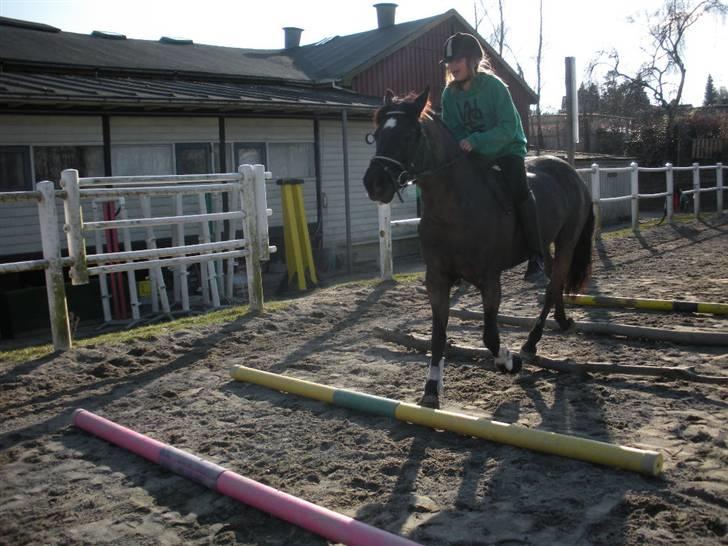 Ën af de sidste dage på ir  billede 12