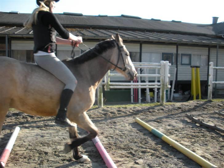 Ën af de sidste dage på ir  billede 13