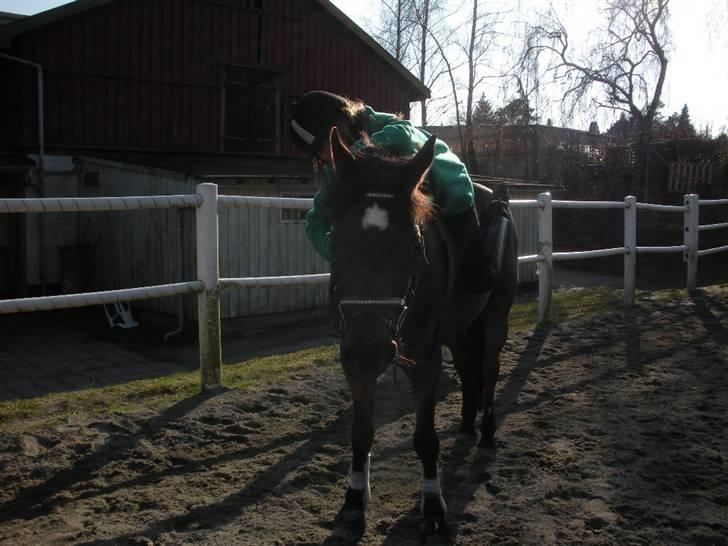 Ën af de sidste dage på ir  billede 14