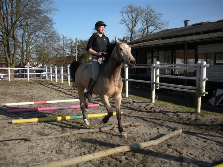 Ën af de sidste dage på ir  billede 16