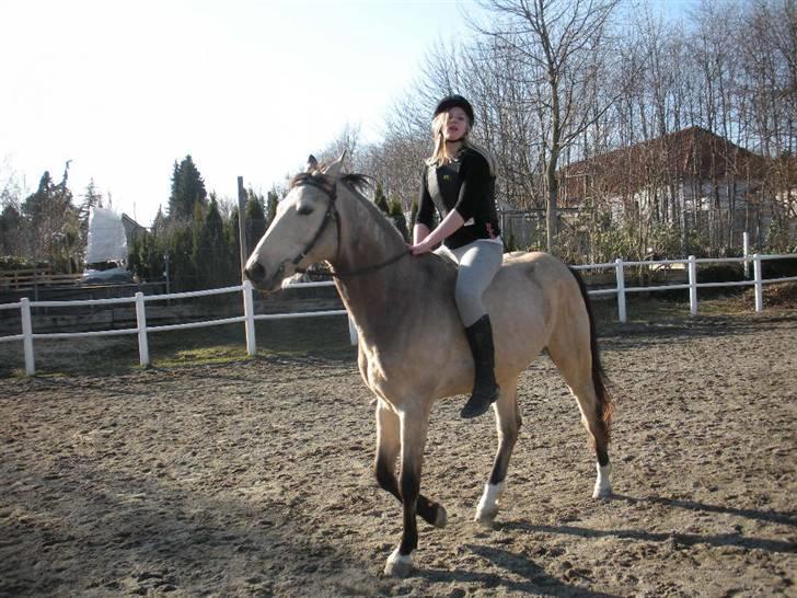 Ën af de sidste dage på ir  billede 17