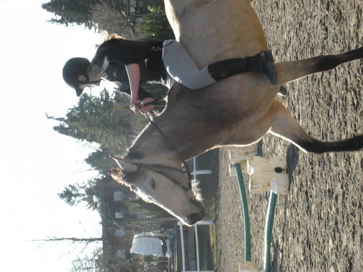 Ën af de sidste dage på ir  billede 19