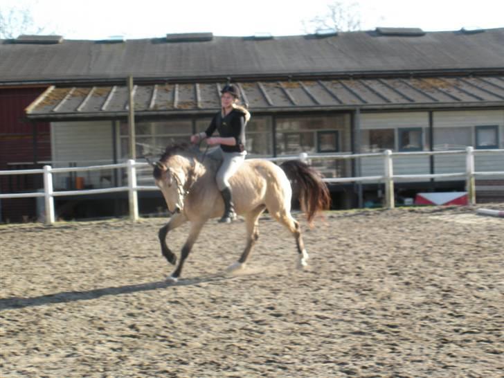 Ën af de sidste dage på ir  billede 22