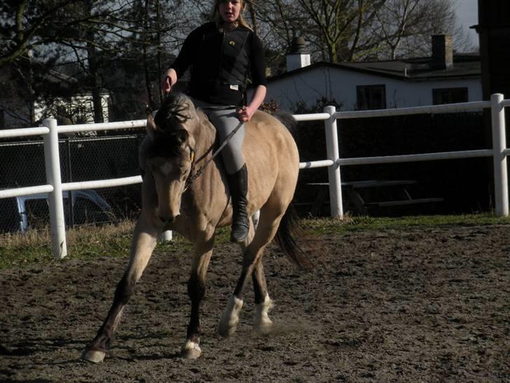 Ën af de sidste dage på ir  billede 25