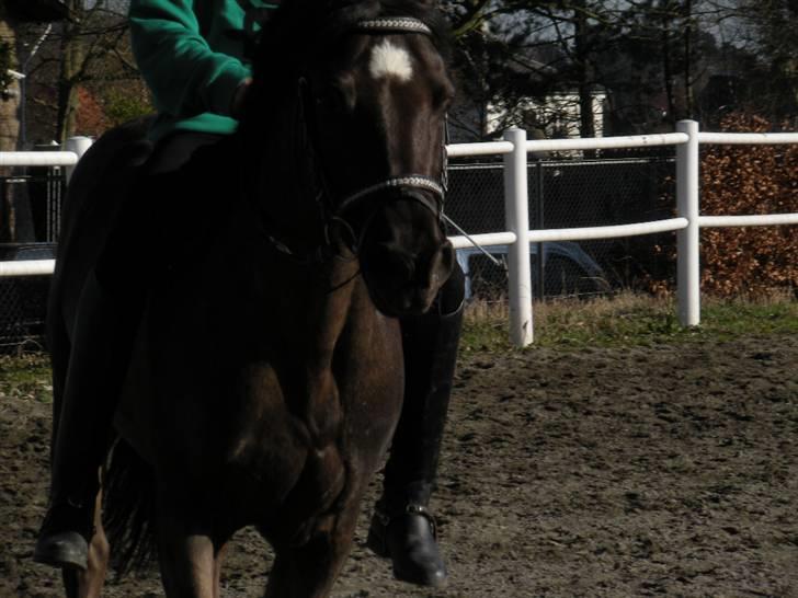 Ën af de sidste dage på ir  billede 26