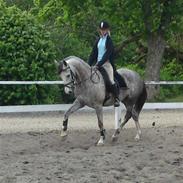 Mig og skønne farmir