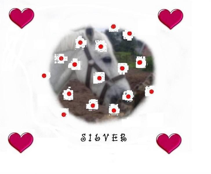 Søde billeder! - Værsgo.. håber det faldr i din smag billede 13