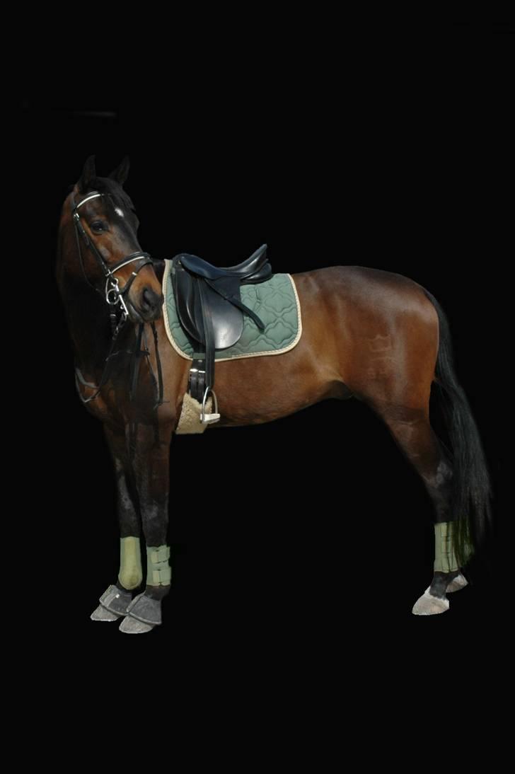 Billedredigering (har leget lidt...) billede 1