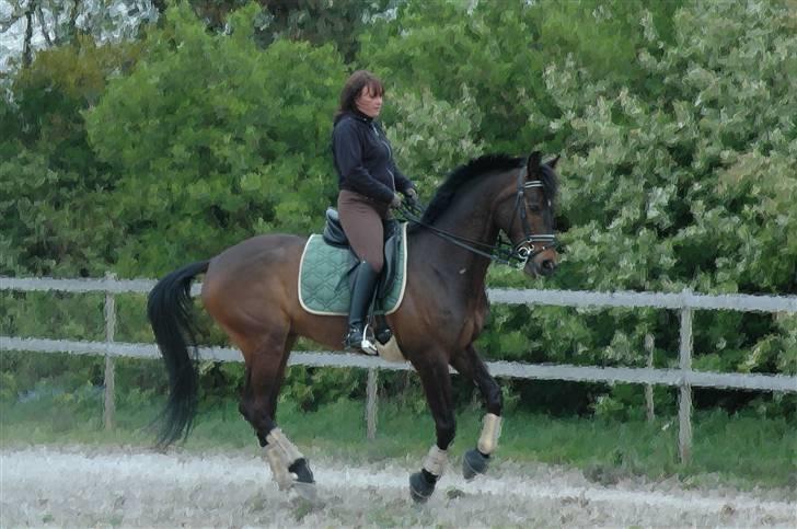 Billedredigering (har leget lidt...) billede 35