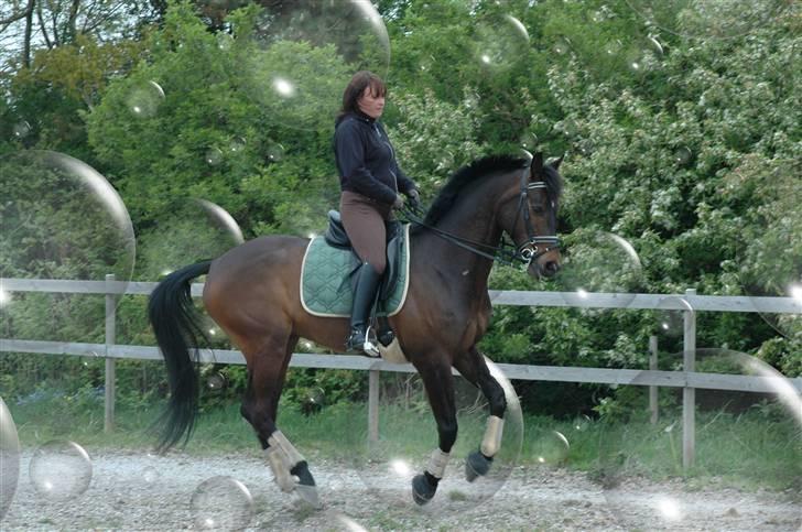 Billedredigering (har leget lidt...) billede 36