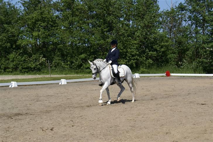 Stævne på Fredemarksgård billede 1