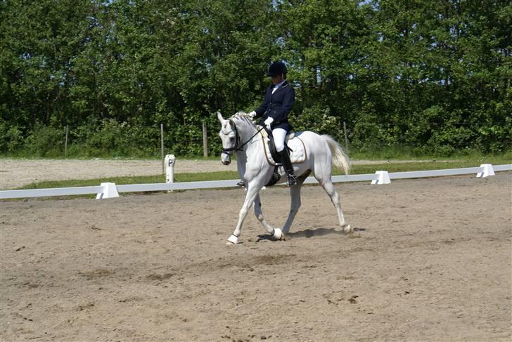 Stævne på Fredemarksgård billede 2